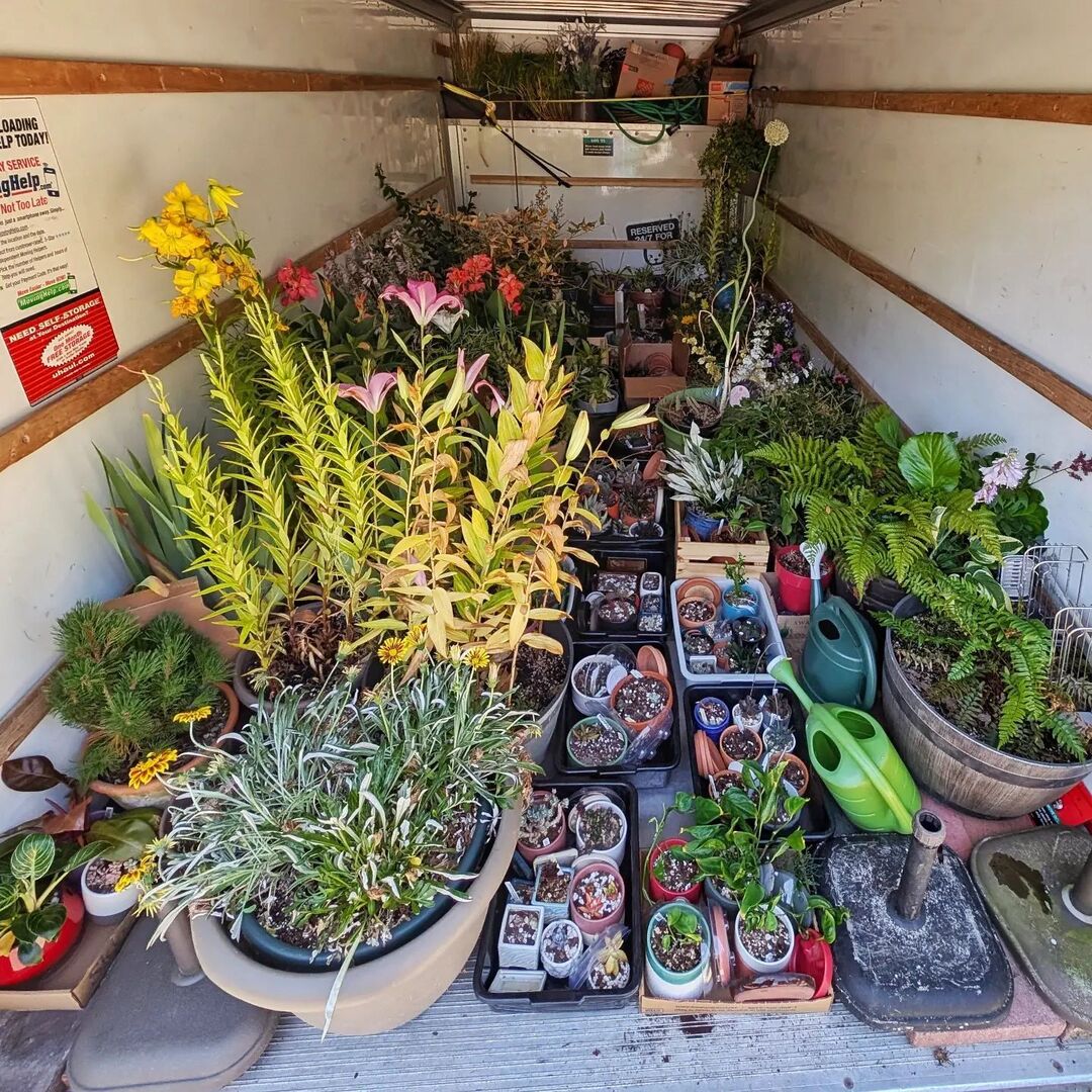 jdkelleher's tweet photo. On Thursday and Friday we loaded up and moved one and a half 20ft U-Haul trucks worth of outdoor planters and indoor house plants, along with the remaining contents of the garage. I'm going to need a bigger greenhouse than originally planned for our new … https://t.co/AiUOvfGNvF https://t.co/LqibnjhpIm