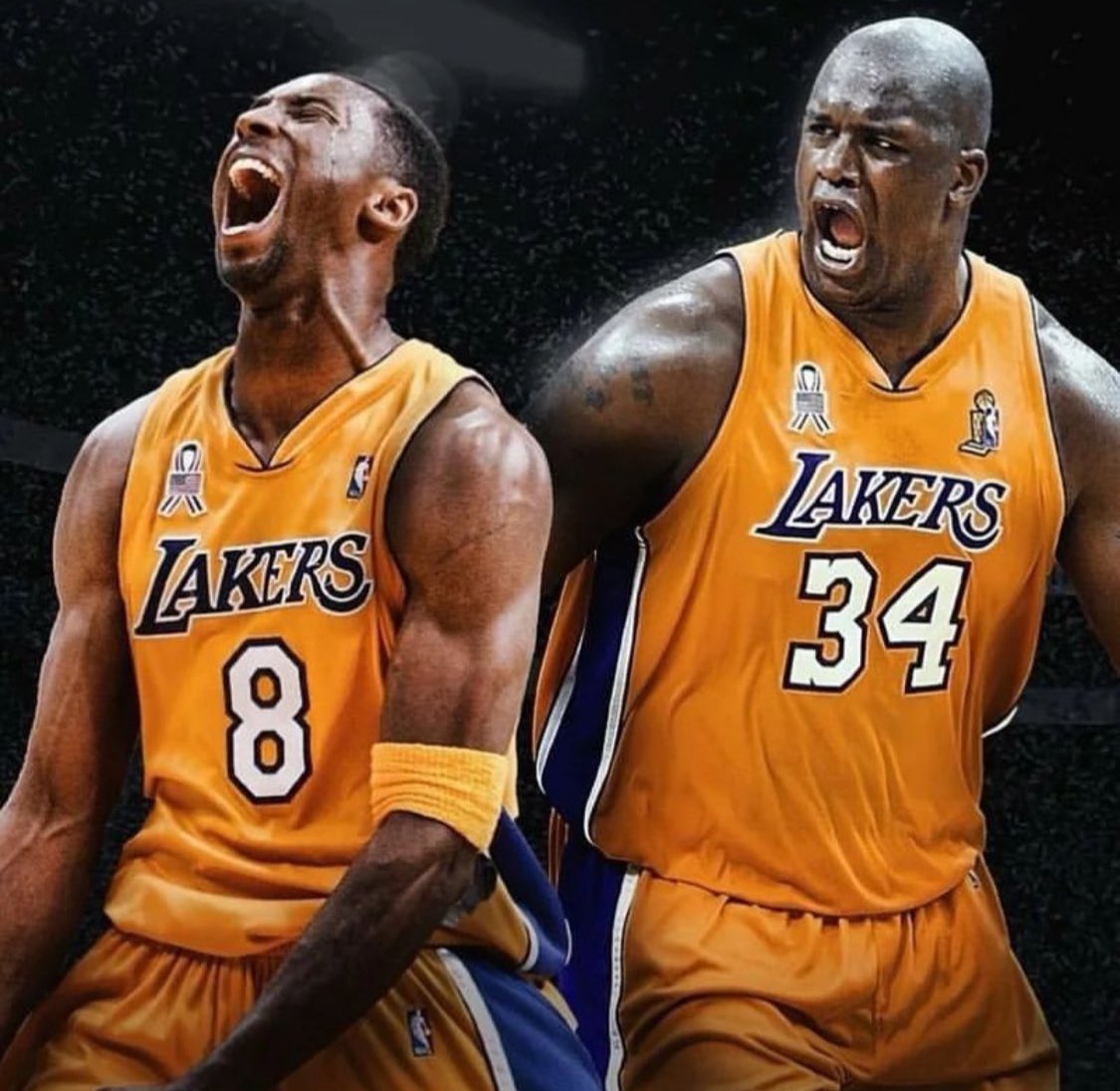 MambaArchives's tweet photo. GREATEST DUO EVER 🐍 x ⛽️💜💛 https://t.co/CwhF6TQ4BW