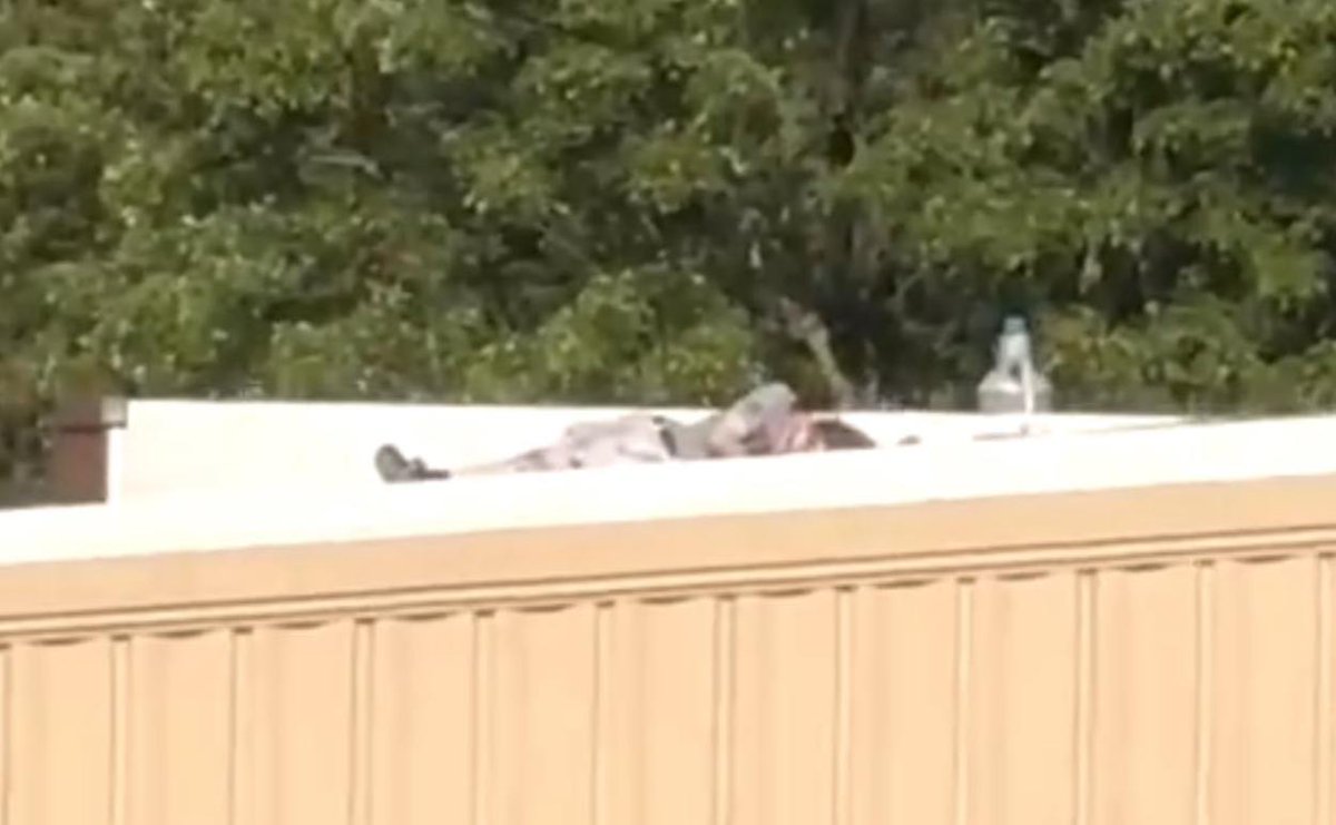 Charlie Kirk tweet media