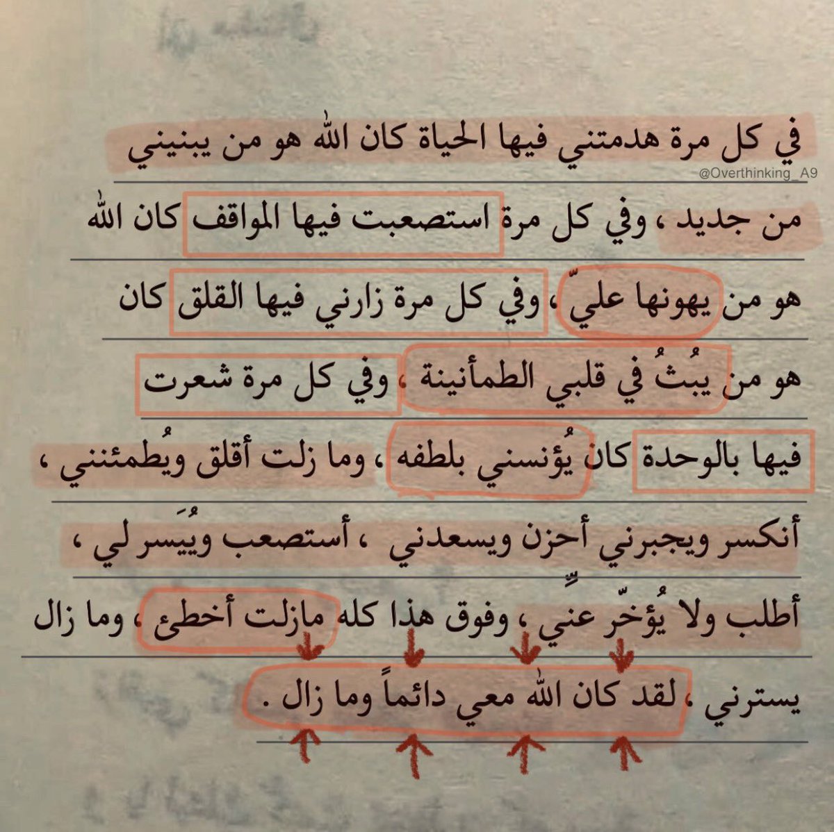 أوديت tweet media