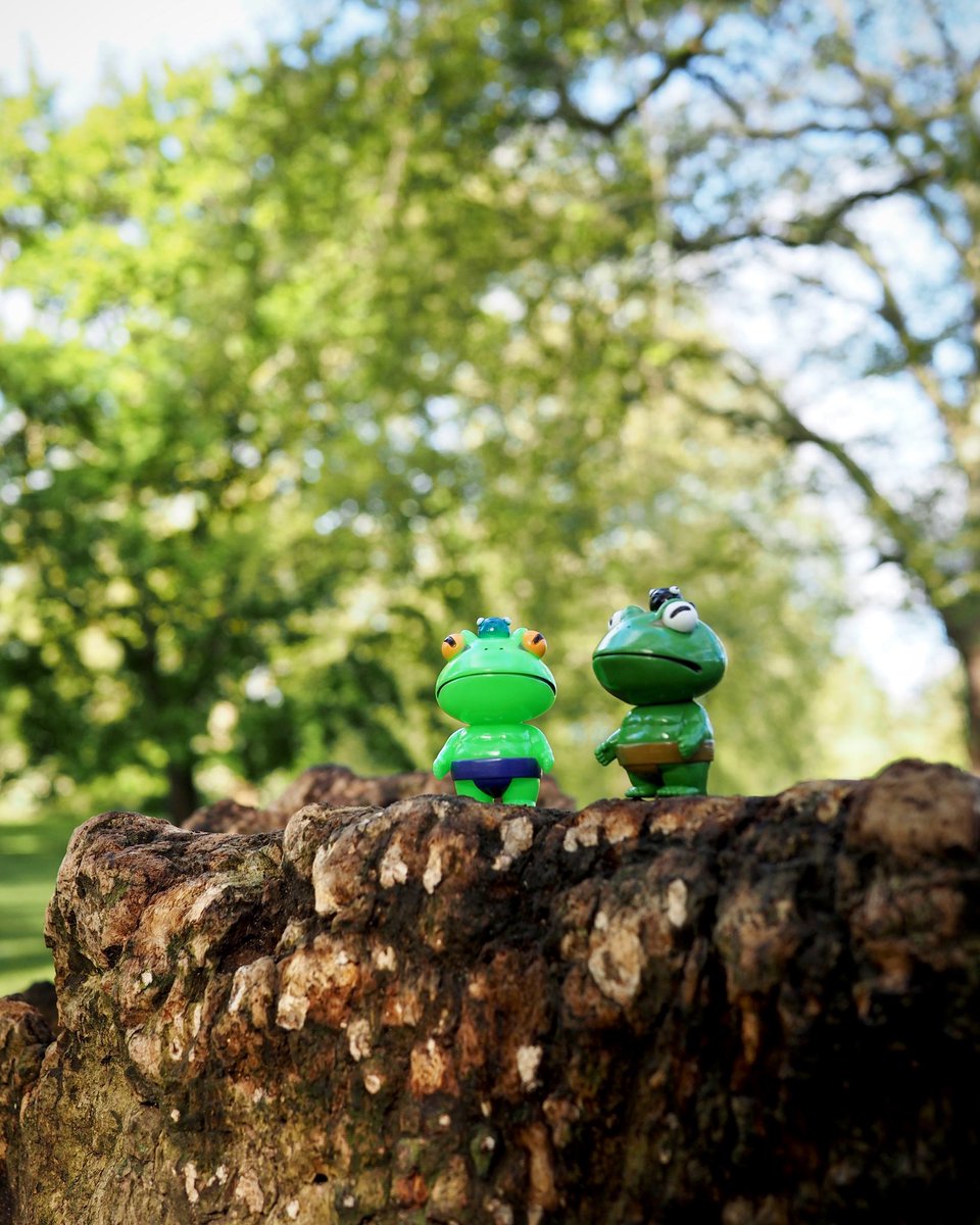 HelenSeto's tweet photo. 🐸 ᴍᴏʀɴɪɴɢ 💚
.
.
#ガマの海 #goccodo #ゴッコ堂
#realxhead #realhead #リアルヘッド #真頭玩具 #真頭不滅 #rxh #madeinjapan #artvinyl #softvinyl #softvinyltoys #sofubi #sofuvi #ソフビ #sofvi #sofubitoy #sofubitoys #designertoys #goodmorning https://t.co/z0PYanRuM4