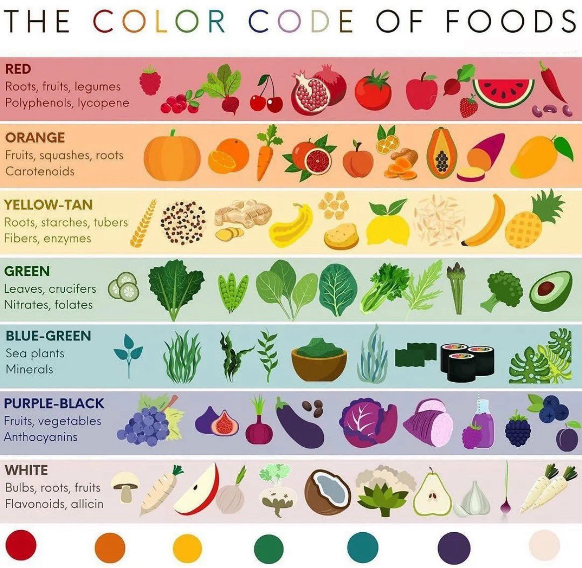 FredsFarm247's tweet photo. The color code of foods👇🏽👇🏽 https://t.co/j6AlFSUxjY