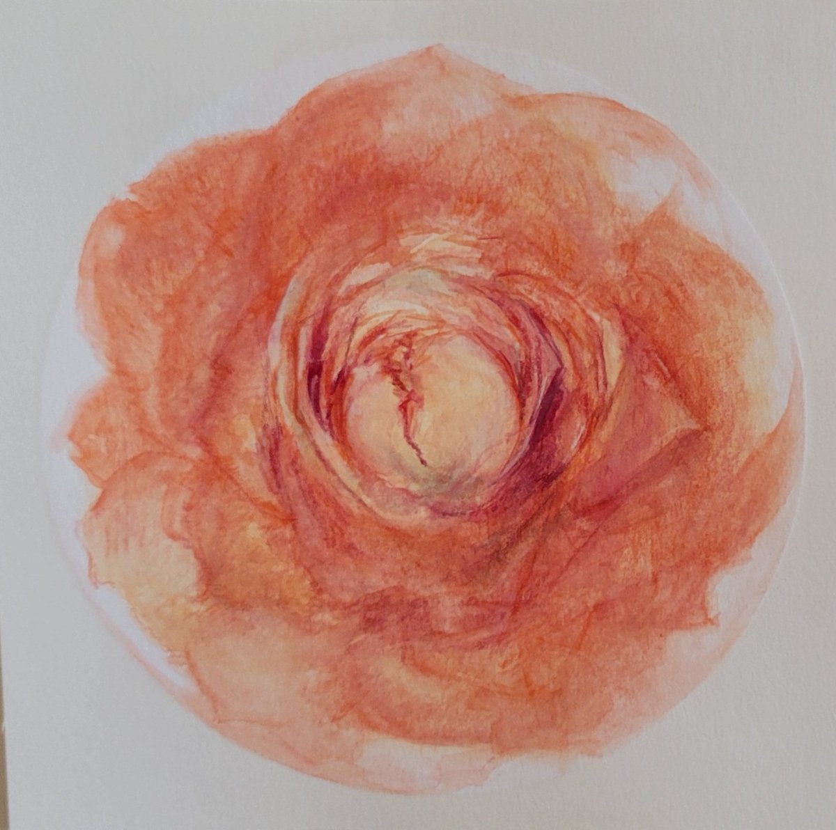 🌹 Roses for <a href="/Maisyahya2004/">Mais</a>!
The first is spoken for but the coral one is available in exchange for 75AUD or more (~50USD) donation receipt toward her family's campaign to leave for safety when possible!

Please message me if interested!
MORE COMING!! 🌹
gofund.me/821de829