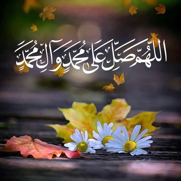 iHafizHamdullah's tweet photo. ﷽
﴿ إنَّ اللَّهَ وَمَلَائِكَتَهُ يُصَلُّونَ عَلى النَّبِيِّ يَا أَيُّهَاالَّذِينَ آَمَنُوا صَلُّوا عَلَيْهِ وسَلِّمُوا تَسْليمًا ﴾

بیشک اللہ اور اس کے فرشتے نبی (ﷺ) پر درود بھیجتے ہیں۔ 
اے ایمان والو !  تم بھی ان پر درود بھیجو ، اور خوب سلام بھیجا کرو۔

﴿سورۃ الاحزاب،۵۶﴾ https://t.co/sh37OIIgkn