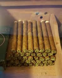 <a href="/Billyhottakes/">Billy 🏈</a> I am smoking  47 blunts in honor of Trump tonight
