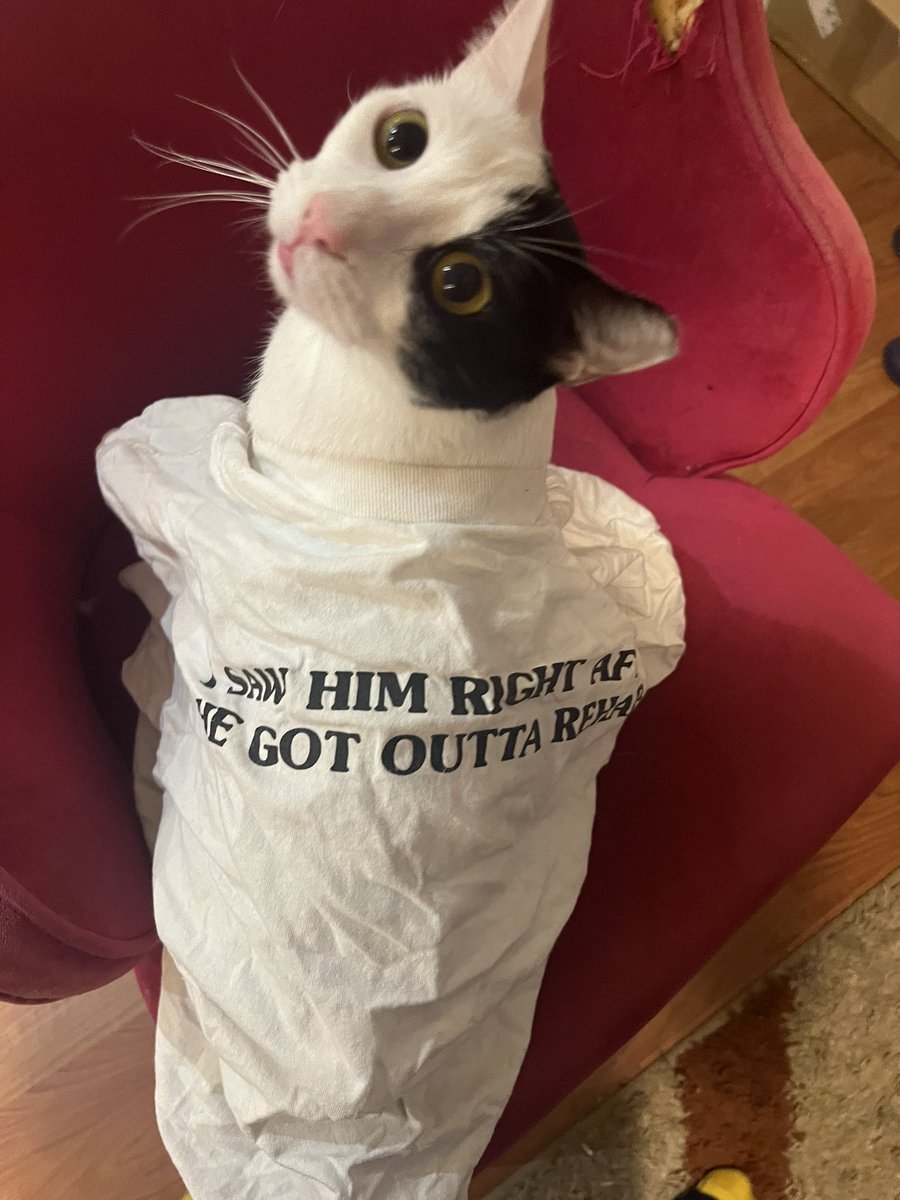 zombie bastard 🍉 tweet media