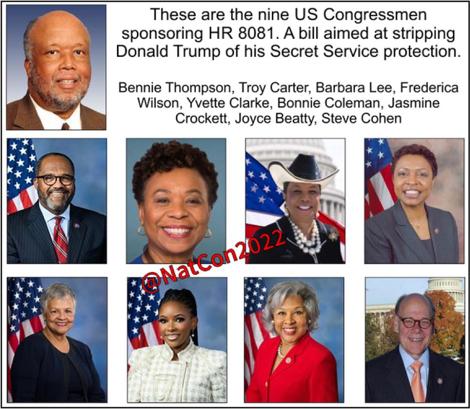 Dapper_Det's tweet photo. NEVER FORGET: these are the nine U.S. Congress members that sponsored HR 8081, the bill aimed to revoke President Donald Trump's Secret Service protection if Joe Biden’s lawfare campaign was successful in obtaining a felony conviction by Soros D.A. Alvin Bragg. https://t.co/CO9bbYcFXL