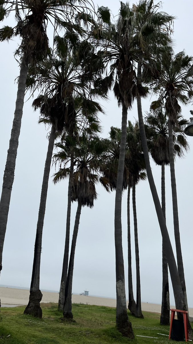 4Safwan's tweet photo. California, LA 🏝️📍 https://t.co/vQdKtvo2c3