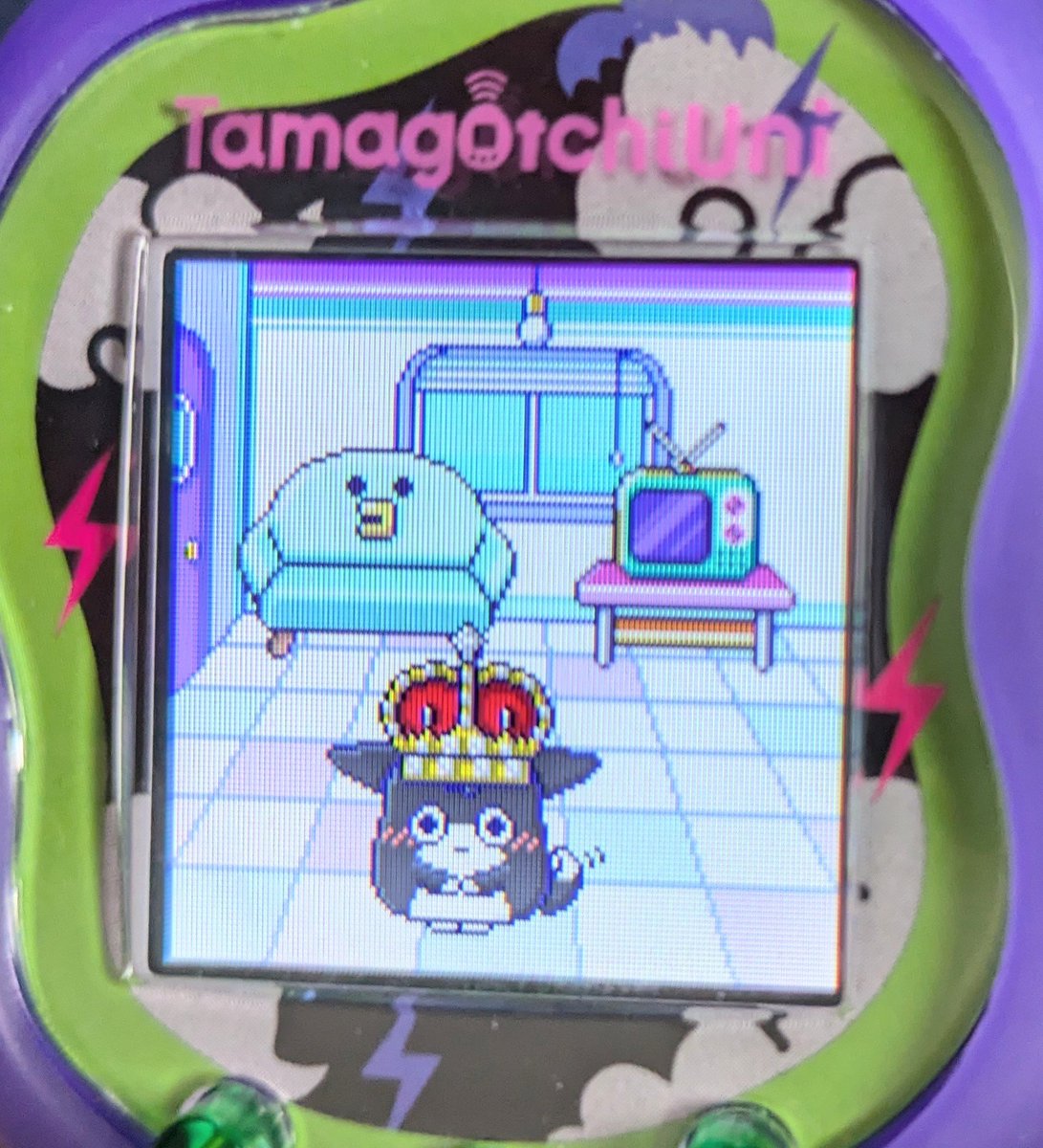 うぇるこっち可愛い❤ お揃いの王冠👑買ってあげました♪ #たまごっちuni