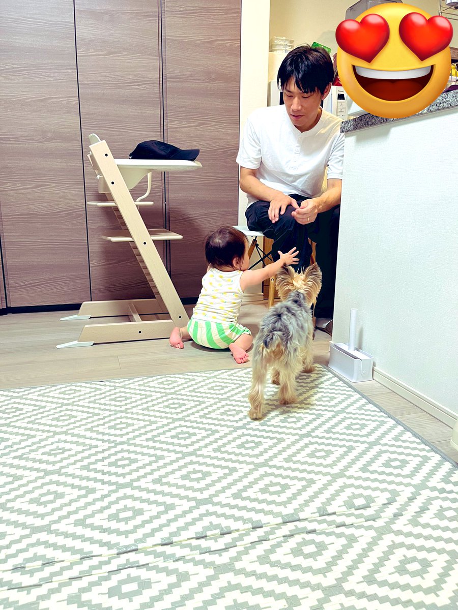 Ruby0712dog's tweet photo. 息子は激しめがお好きのようで🤭
#ヨークシャーテリア
#高い高い
#息子
#父はこの為にブロック注射を打つw https://t.co/u18wHfiTzY