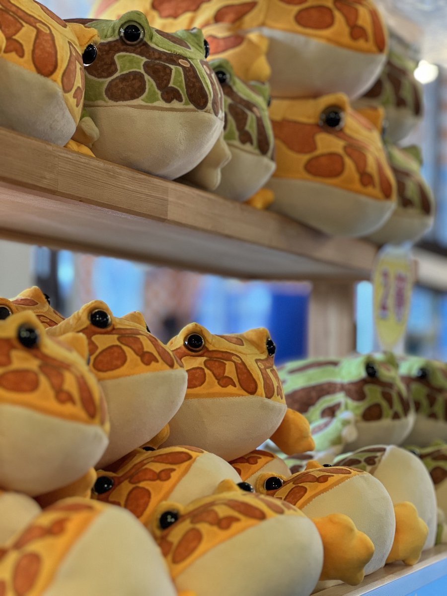 売店情報】 売店の『ぬいぐるみくじ』は カエルとなっております。 来