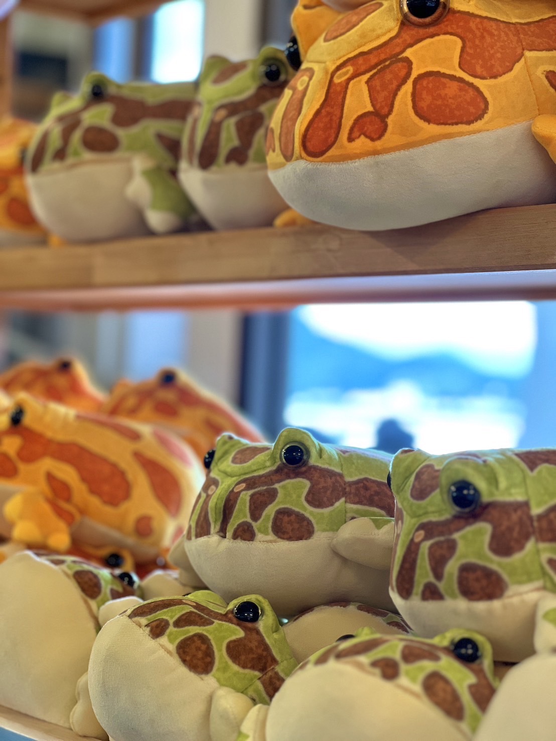 ツノガエルくじ　ぬいぐるみ6匹セット ツノガエルくじ ぬいぐるみ6匹セット - メルカリ