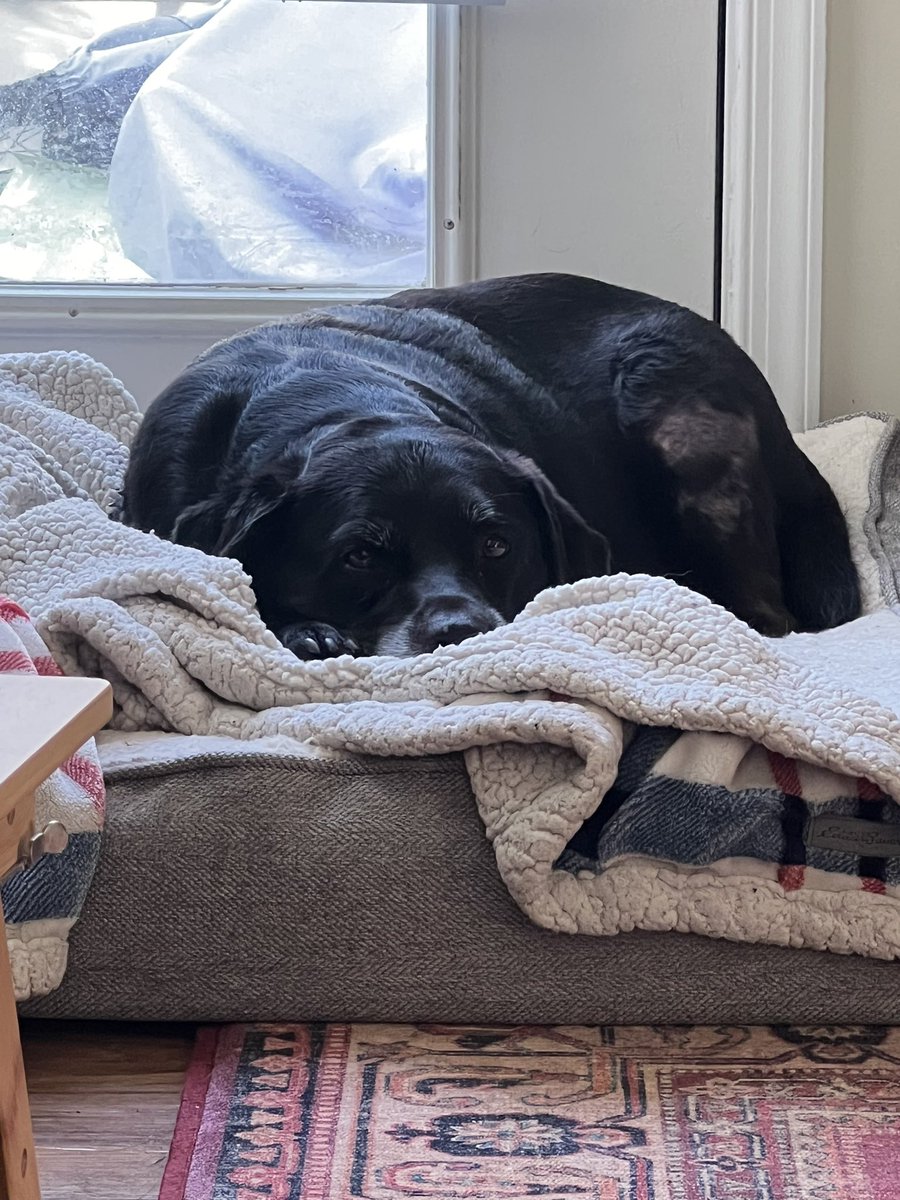 Chris - The Vibe-Based Systems Engineer™️ tweet media