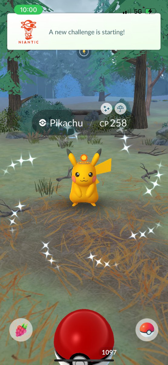 Colby Fitz tweet media