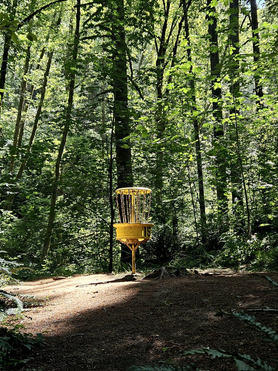 chiefdnteeth's tweet photo. Good morning #discheads because #discgolf #Hornings https://t.co/Bbi8MATPMB