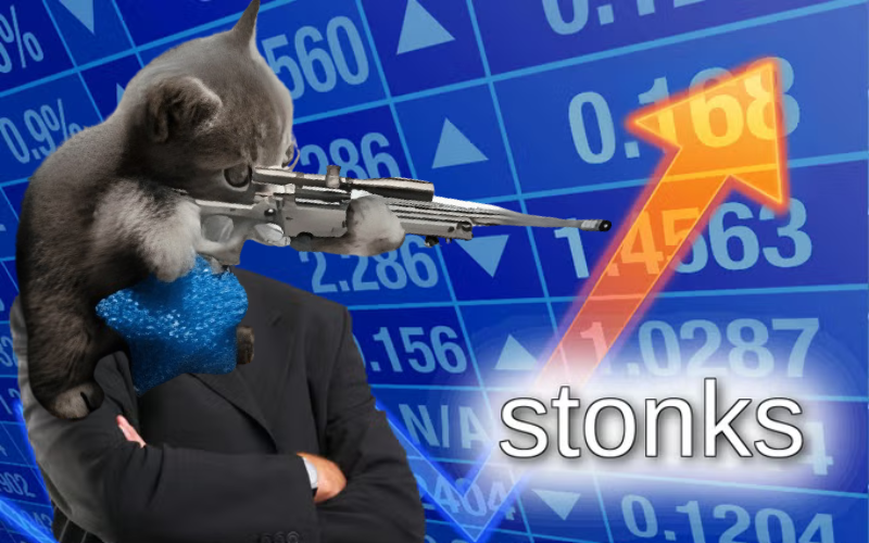 Sniper Cat tweet media