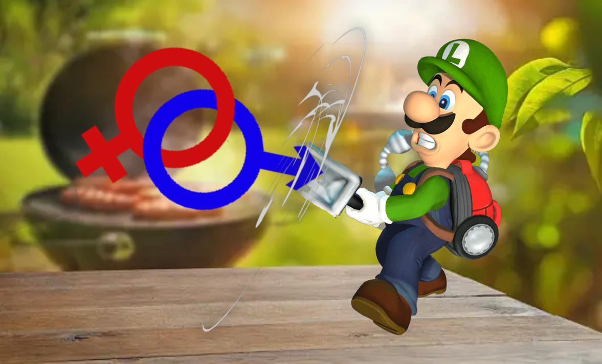 Binary_Breakers's tweet photo. Don't worry folks! Luigi and @elite_spud are here to help with the BBQ cleanup! Oh, looks like Luigi got a little clog. That's okay. While he fixes that, we can enjoy Luigi's Mansion Any% (No OOB) [PAL] coming up NEXT!! #BBSBBQ 

https://t.co/i6ictiYLQs https://t.co/RenV0HfonK