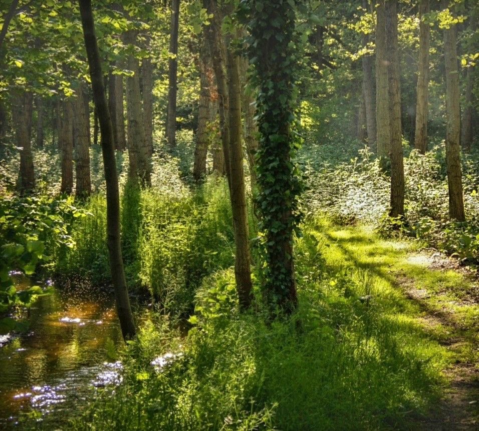 Weekends at the cottage