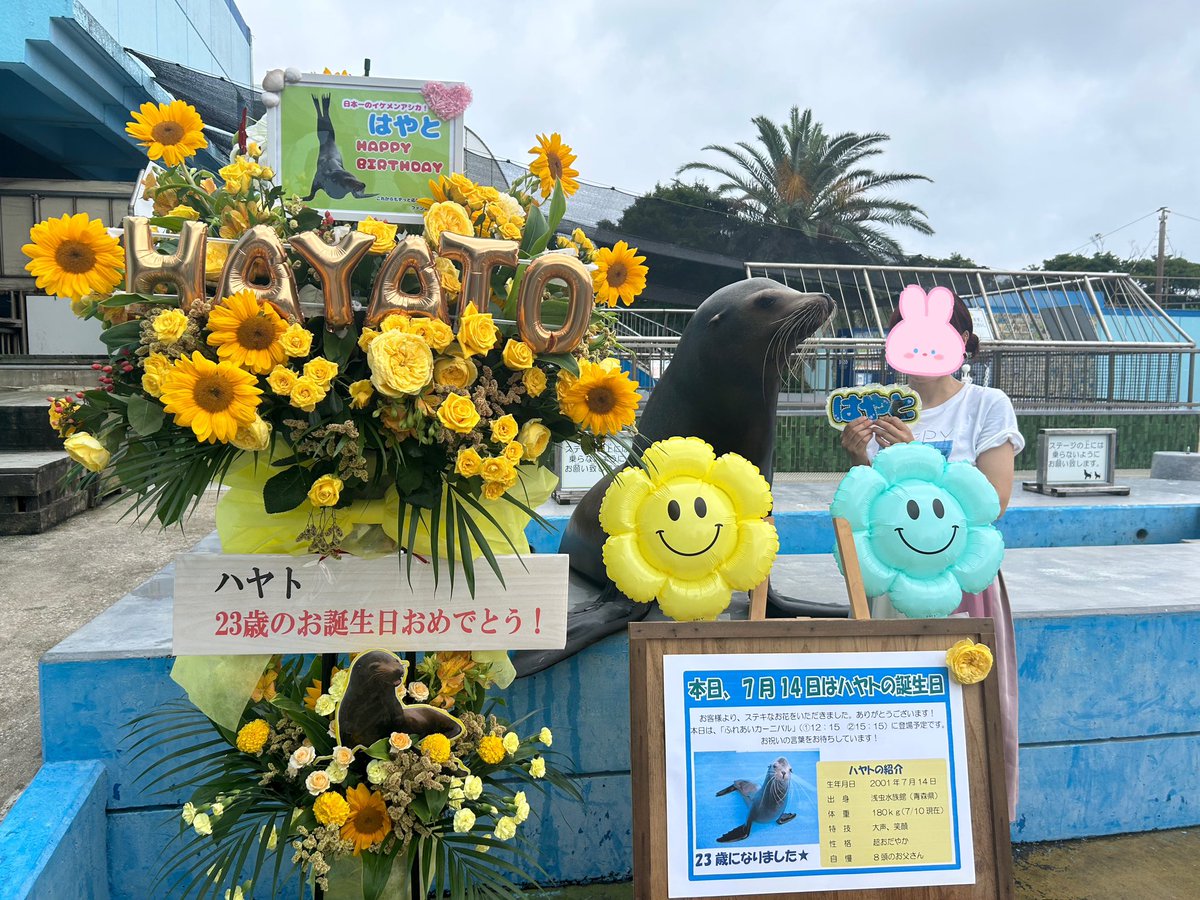 ♡Miki様ご確認♡ miki (@hayatosan714) / Posts / X