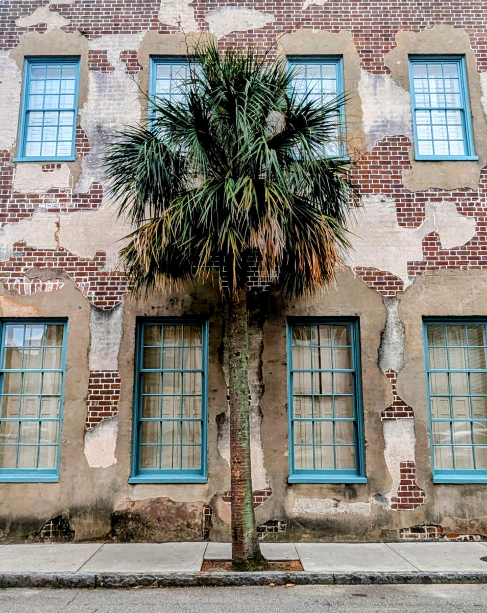 JacksonParish's tweet photo. Queen Street in beautiful Charleston. The simple order to this building may be often overlooked, but she's so pretty. https://t.co/1dNVohJlOX