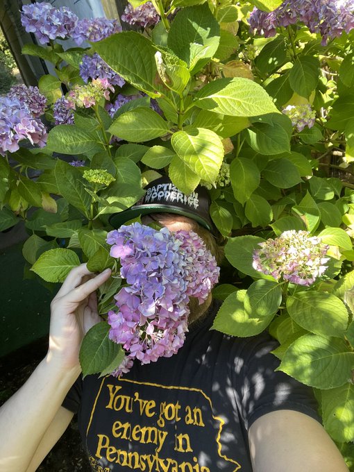 Flowers are blooming https://t.co/G7GFHVmxZx