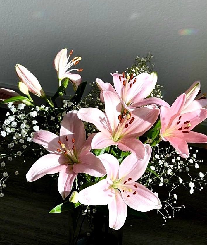 Butterflless's tweet photo. 🌷 https://t.co/SJoRLVyECt