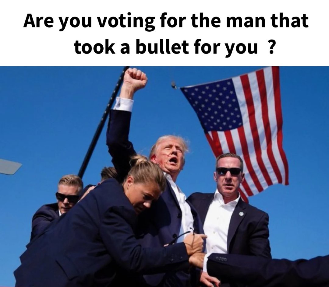 MAGA Voice tweet media