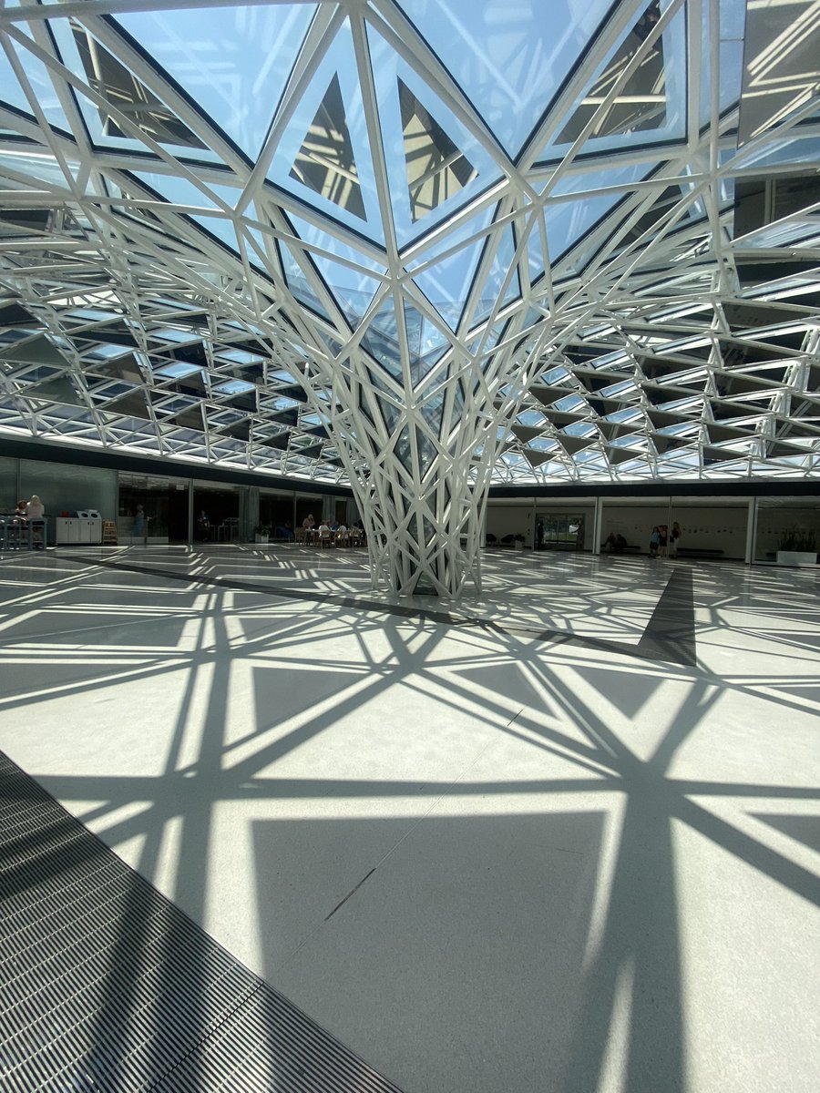 barbarabroccoli tateellen tweet media