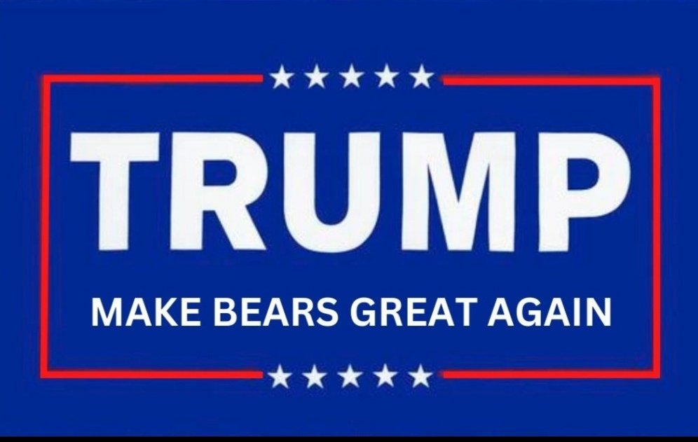 We have an airtight alibi, also he was a supporter. 

- Bears Reloaded