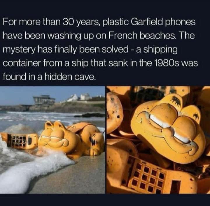 keithbartling's tweet photo. @andrewpanton as a Garfield guy I thought you’d like this https://t.co/UnmwX9u6pk