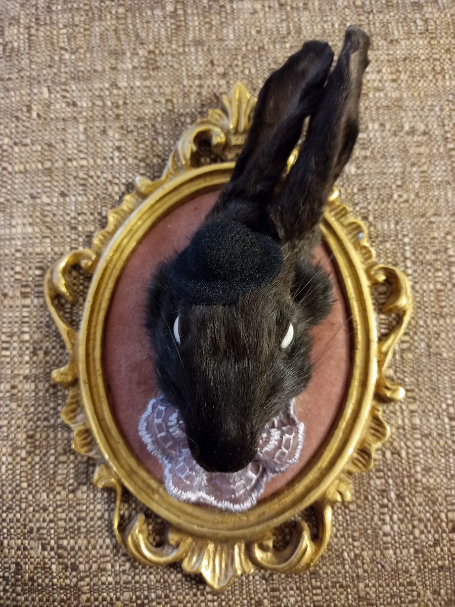 Catleydey's tweet photo. J'ai été dans un marché d'artistes sur le thème du pastel goth. J'ai enfin décidé d'acheter un animal empaillé puisque j'en voulais depuis longtemps. L'artiste m'a dit que tous les animaux sont choisis de façon ethique et de cause naturel ❤️ https://t.co/OOyxcb8bpE