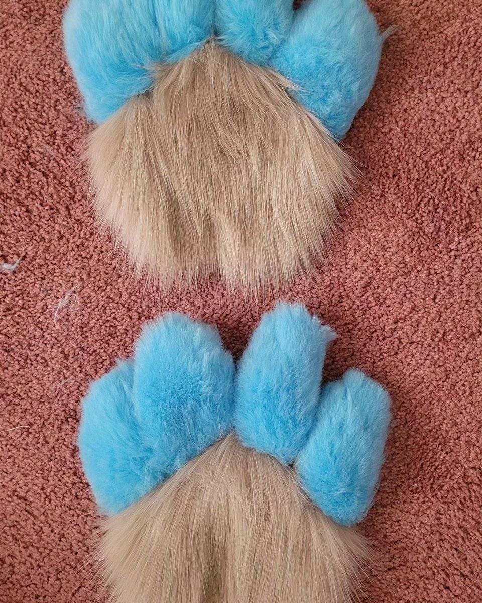 ZoomieFox's tweet photo. It was my first sewing project!
I normally leave the fursuit making to chey but wanted to try it out once! I used a template frorm heckhounds studio, and I like how they came out! 

#fur #furryfandom #fursona #furries #furryfriends #anthro #foxy #sewing #fursuitmaker #fuzzy https://t.co/XbRF5tNPKR
