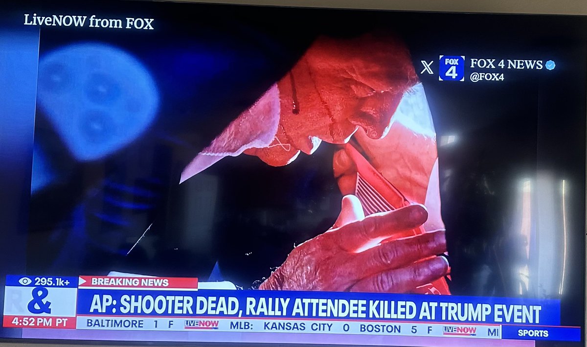 Sandra Barbosa tweet media