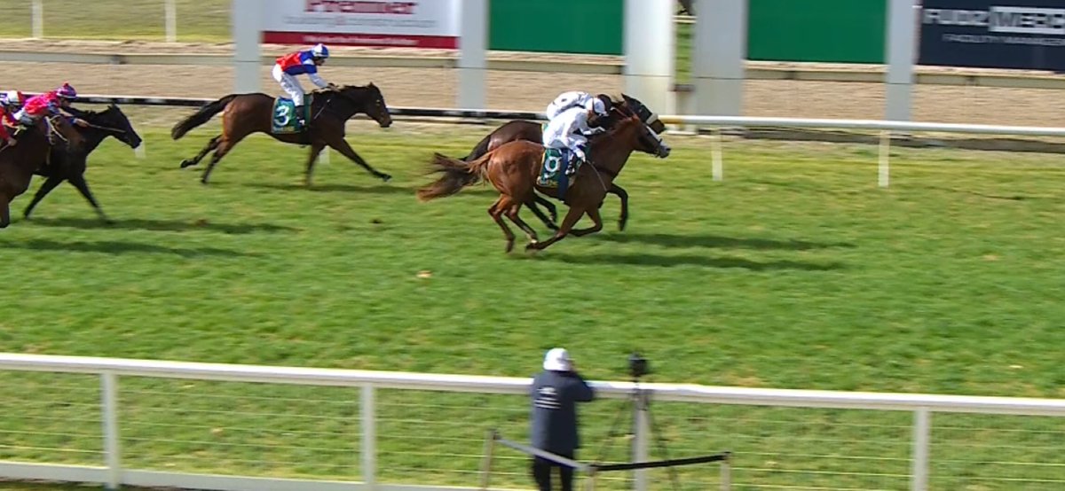 Te Akau Racing tweet media