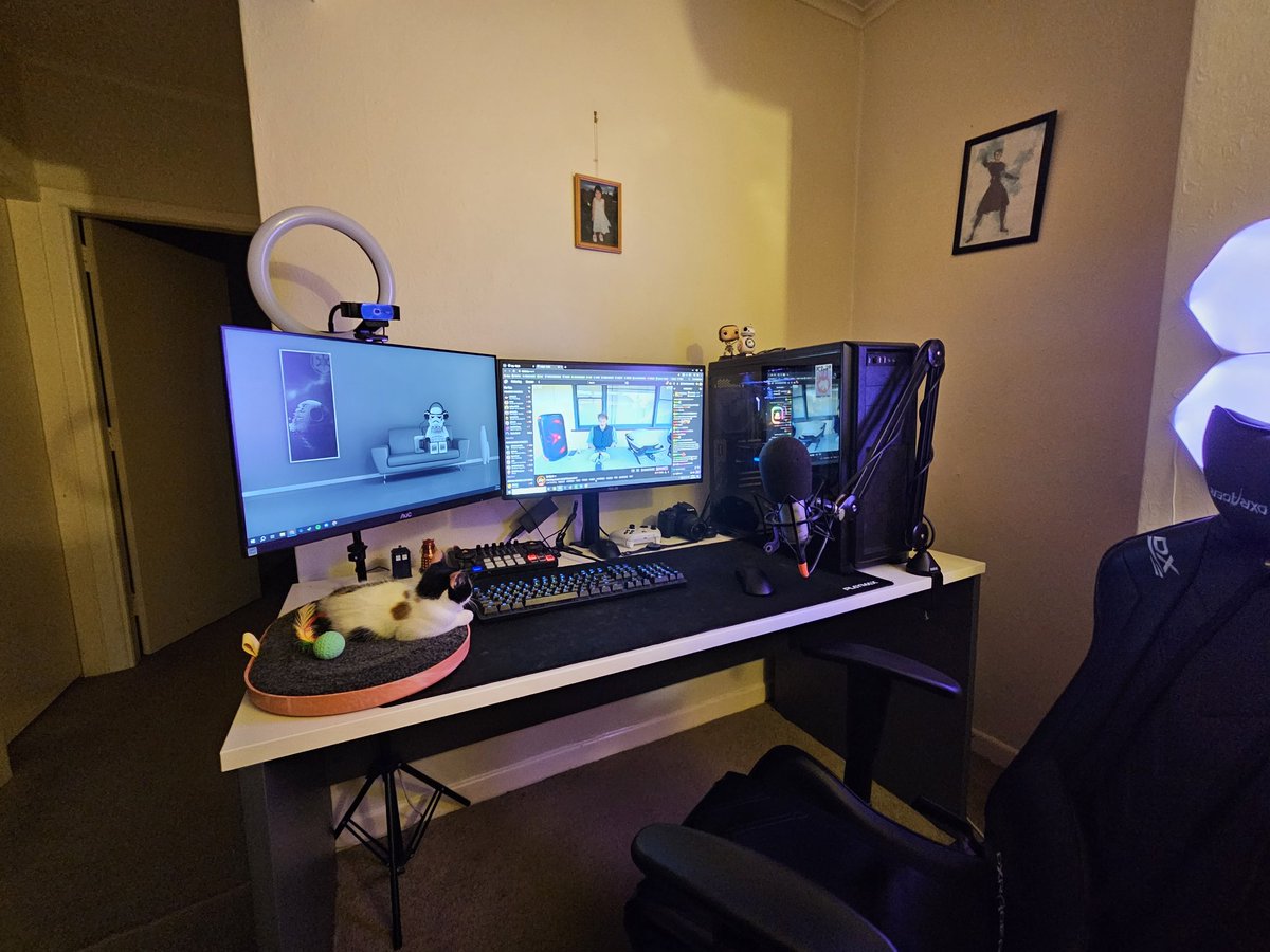 OhKalez's tweet image. Cat dad now.