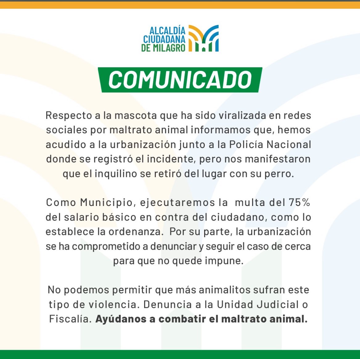 domjaen's tweet photo. @EmergenciasEc El tipo se ha ido del lugar con el animalito, den con el😭🙏🏼🙏🏼🙏🏼🙏🏼 https://t.co/hrsHHjgspw