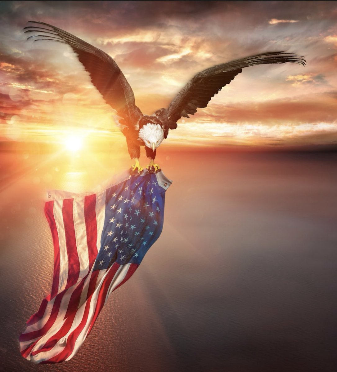 Violence regardless of political party is a threat to the freedom of our democracy