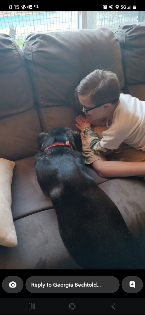 MondscheinWill's tweet photo. @BruceExclusive Doggo with my son who has Down syndrome and autism. Best friends for life. https://t.co/CMz2ZIlusy