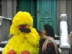 BertstripsEsp's tweet photo. — No llores, Big Bird. Donald Trump estará bien. https://t.co/AQsr9pX7jf
