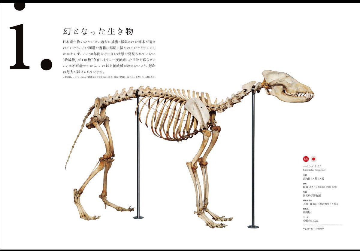 大人の科学バー on X: 大人の科学バー on X: