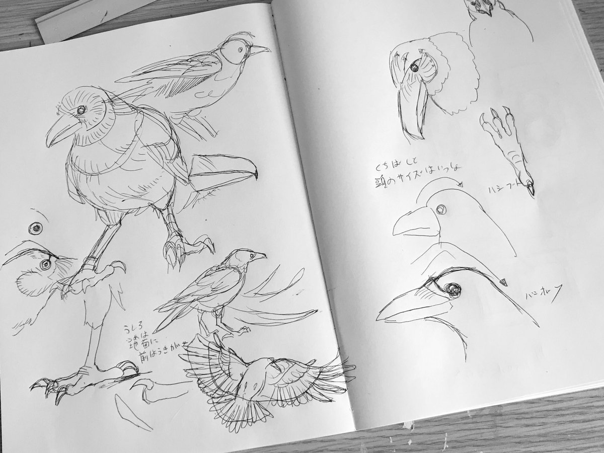 カラス 
