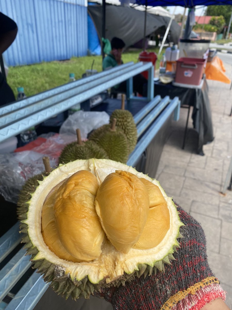 xkimkha1's tweet photo. Durian blacktorn musang king ioi siap hantar rumah sekitar ipoh!! 

Boleh deal nak yang saiz apa, berapa box😘😘

@MohKeIpoh https://t.co/NACm985dz6