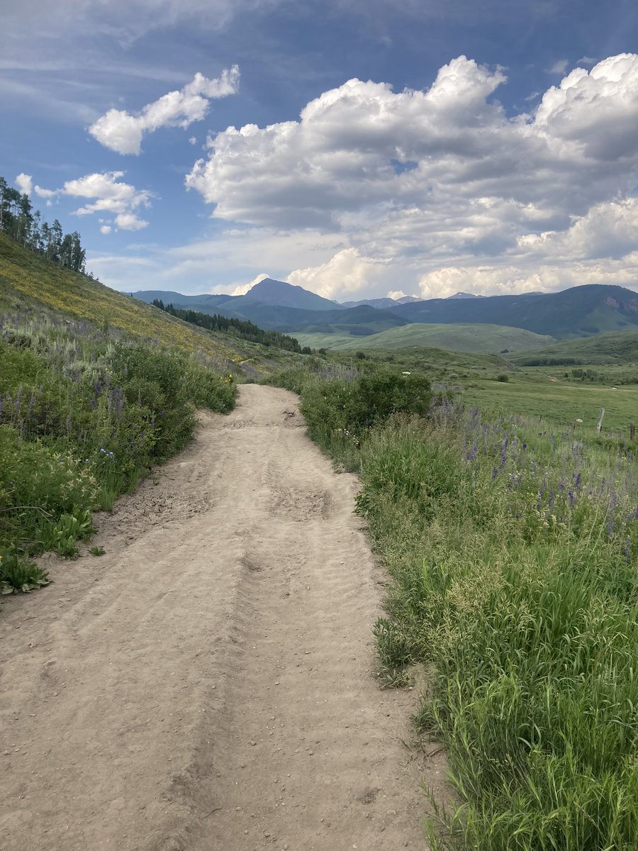 EThomps94's tweet photo. Hikes and wildflowers https://t.co/c5x1kuV7Hz