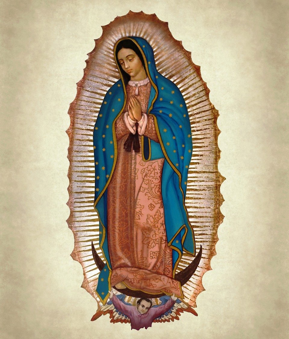 ✝️ Dios te salve, María, 
llena eres de gracia;
el Señor es contigo.
Bendita Tú eres 
entre todas las mujeres,
y bendito es el fruto de tu vientre, Jesús. 

Santa María, Madre de Dios,
ruega por nosotros, pecadores,
ahora y en la hora de nuestra muerte. Amén 🙏