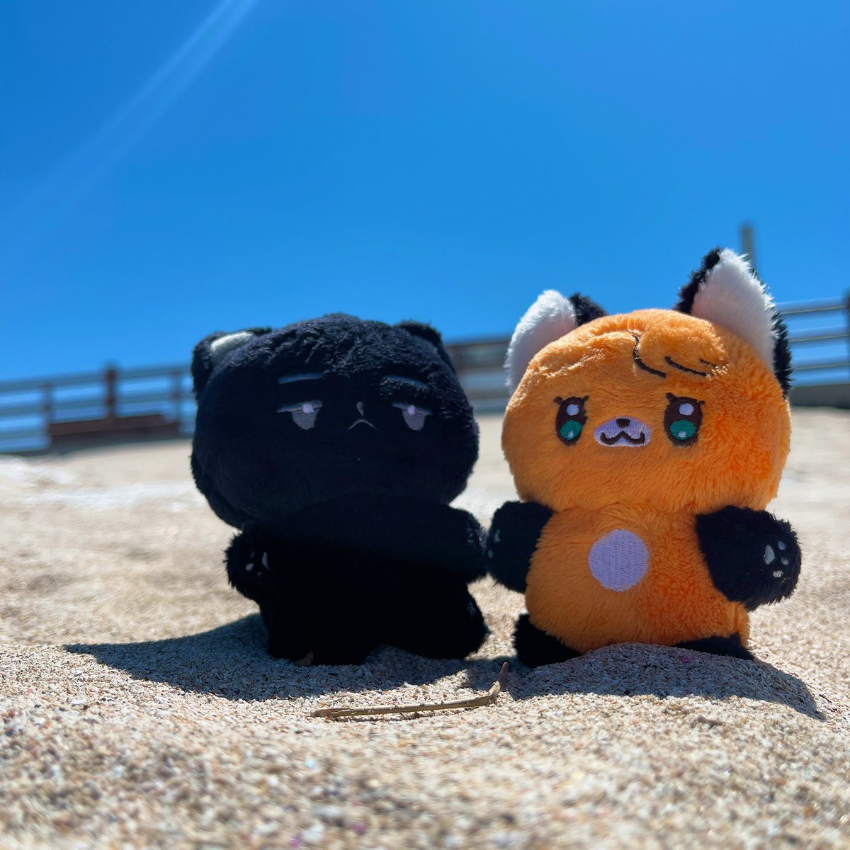 욤냐뮹🐾힝 tweet media