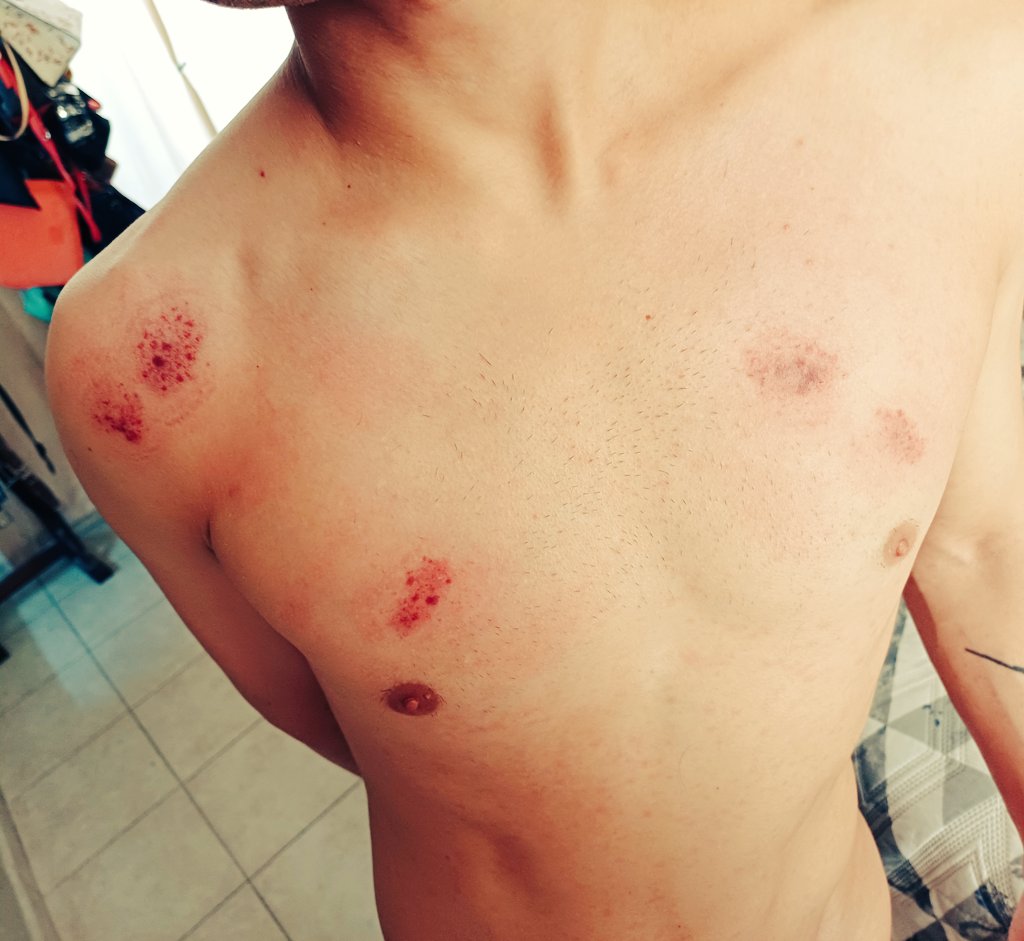MaleDomMx's tweet photo. Is this what you want? https://t.co/tiKHT2BuPv
