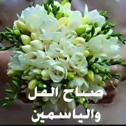 Alsovi1960's tweet photo. @LoveSongs4Peace https://t.co/KuavLfzB0Z