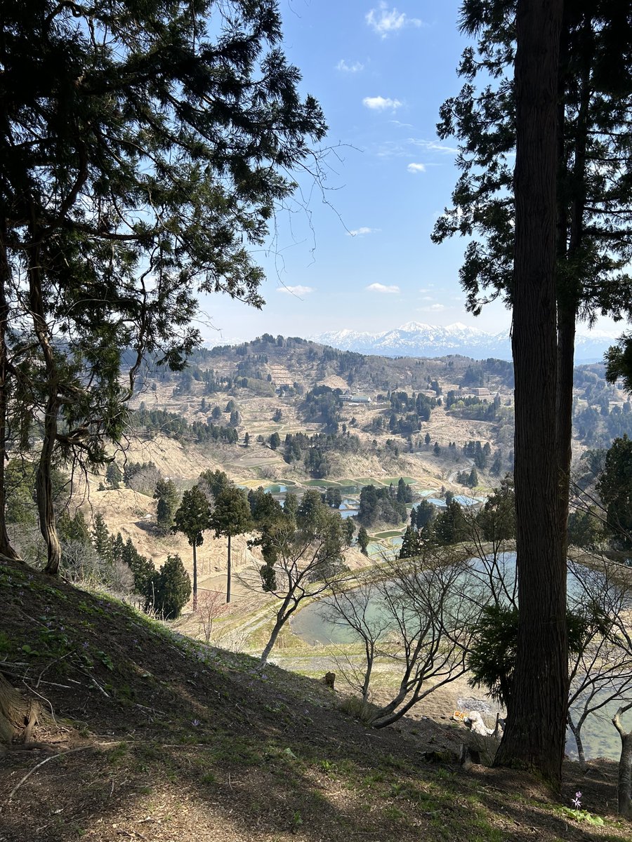 ✔️お試し移住はじめます

今週から日本の原風景に移住。
場所は画像でどこかわかるかな？？