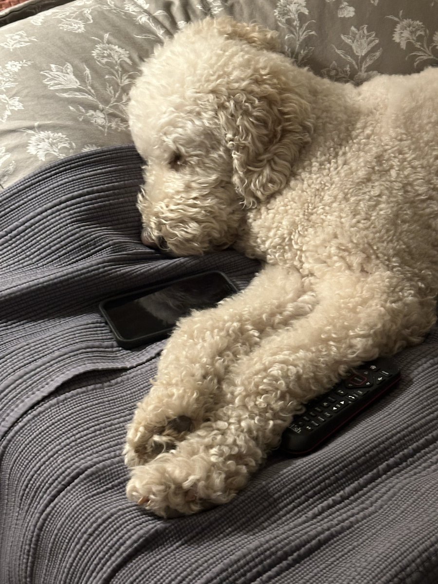 Chris Huber tweet media