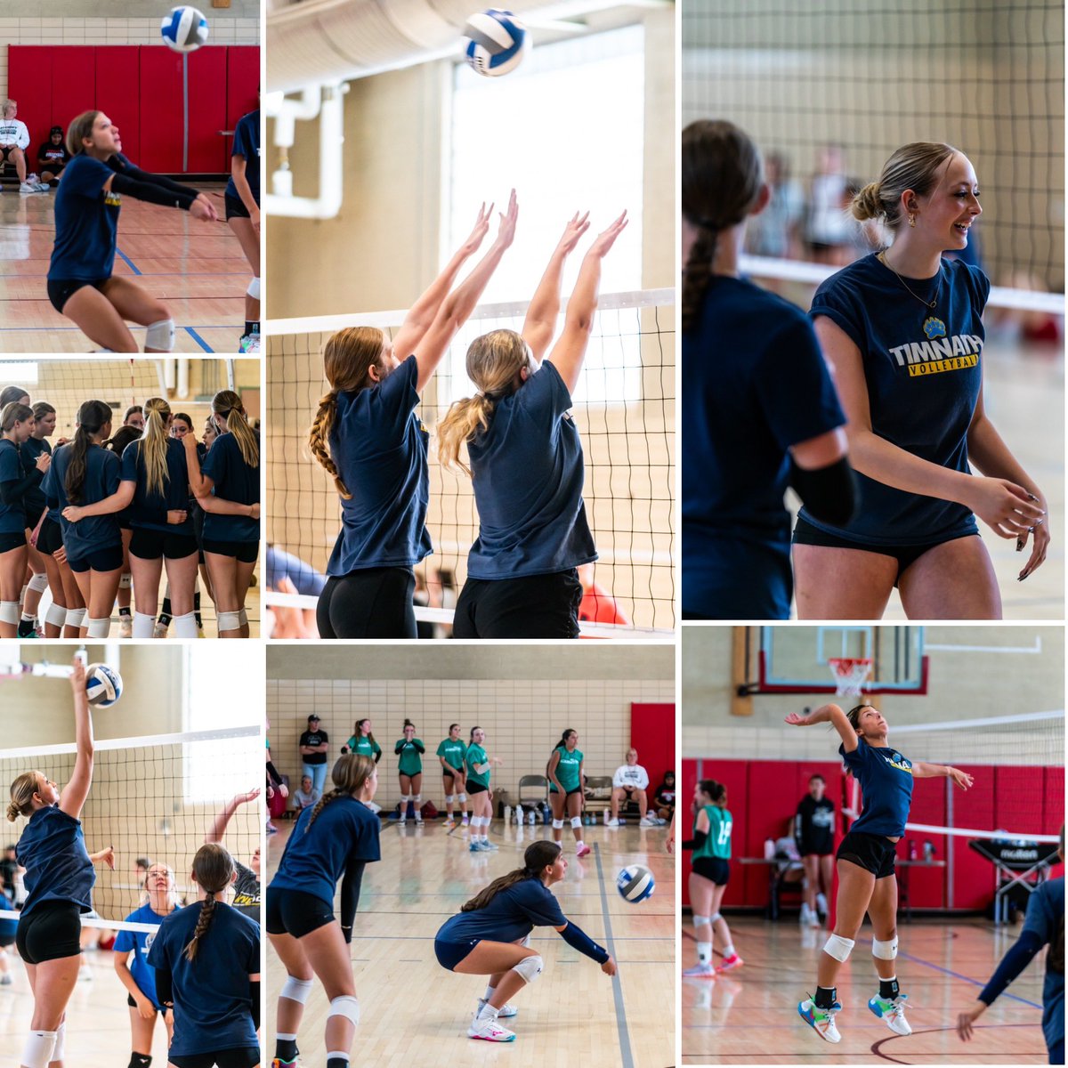 Timnath HS Volleyball tweet media